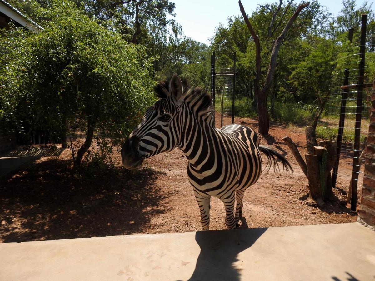 Kruger's Retreat House&Kruger's Rest Studio Marloth Park Exterior foto